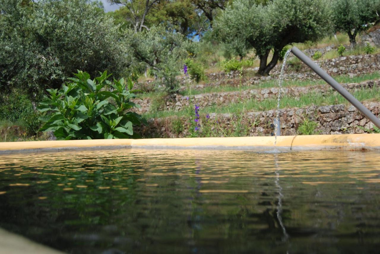 Terrafazbem Villa Marvão Dış mekan fotoğraf