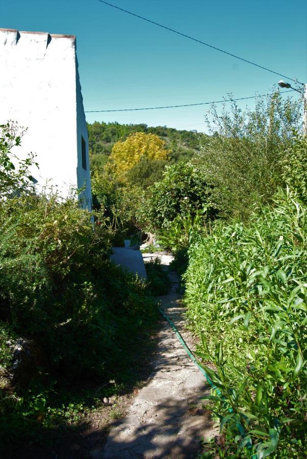 Terrafazbem Villa Marvão Dış mekan fotoğraf