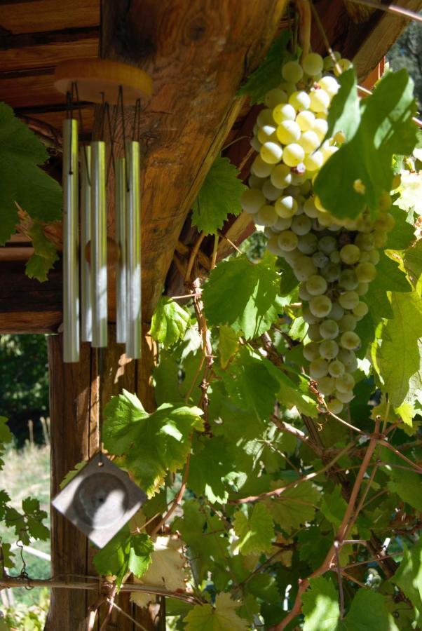 Terrafazbem Villa Marvão Dış mekan fotoğraf