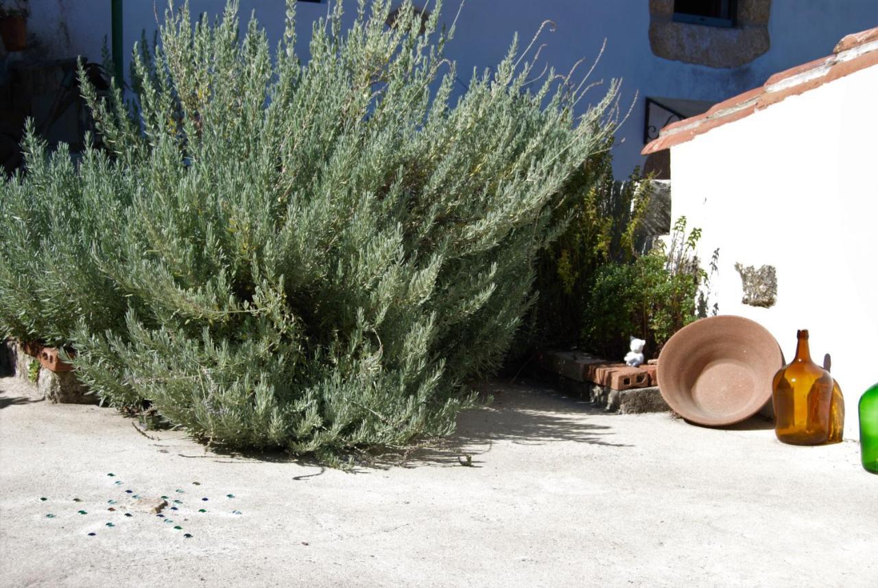 Terrafazbem Villa Marvão Dış mekan fotoğraf