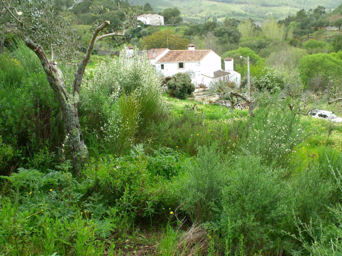 Terrafazbem Villa Marvão Dış mekan fotoğraf