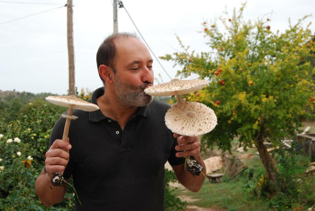 Terrafazbem Villa Marvão Dış mekan fotoğraf